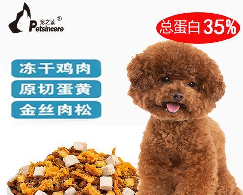 泰迪犬吐狗粮应该怎么办（教你如何处理泰迪犬吐狗粮的问题）