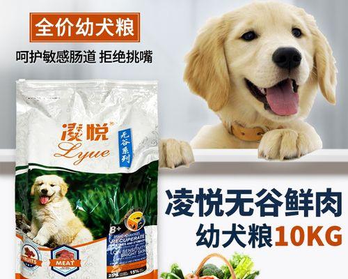 泰迪犬的换粮与营养（宠物犬常见粮食种类介绍）