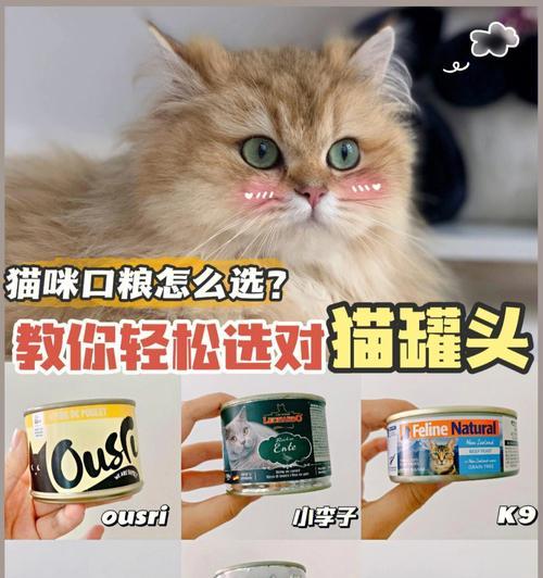 以顽皮猫猫罐头为宠物饮食的最佳选择（优质配方）