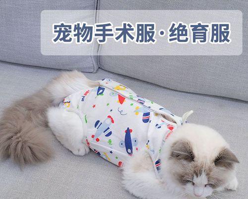 大狗舔小猫，到底是出于什么原因（探讨大狗舔小猫行为的背后原因）