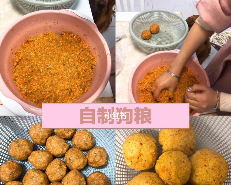 如何制作健康营养的宠物狗粮（自家制作狗粮）