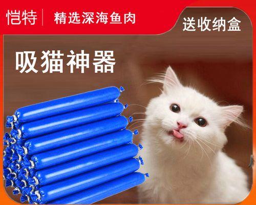 猫宝宝吃了香肠，你该怎么办（从宠物健康的角度出发）