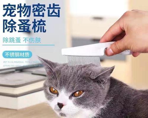 解密猫的跳蚤长相（从宠物角度探究猫跳蚤的形态特征与行为习惯）