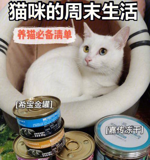 猫罐头小猫一顿吃多少（宠物营养需求与饮食习惯的探讨）