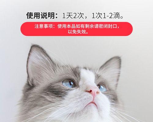 猫咳嗽治疗方案解析（探讨以药物治疗猫咳嗽的最有效途径）