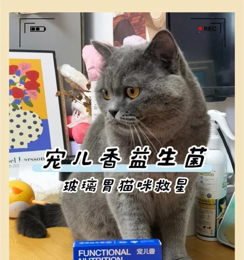 宠物健康（狗狗益生菌也适用于猫咪）