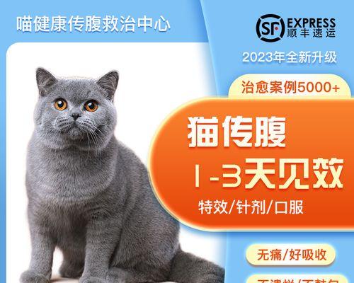 宠物营养液的正确使用方法（以猫为例）