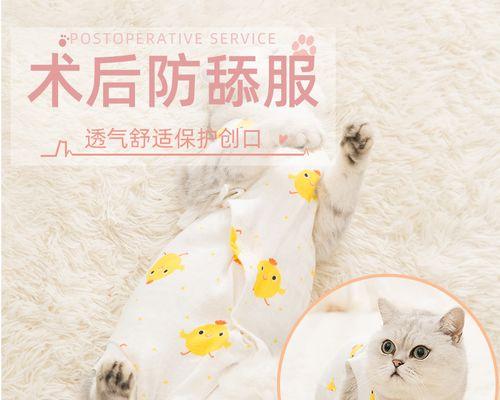 猫咪不节育的影响（掌握好繁殖时间让爱宠健康成长）