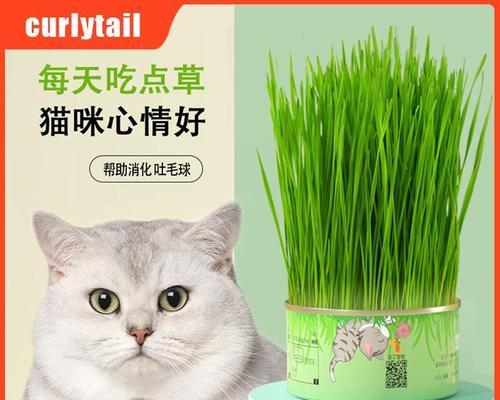 猫咪长期吃猫罐头的利弊（宠物主人必读）