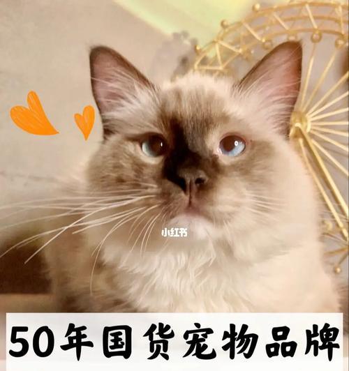 猫咪吃发育宝会导致长胖吗（以宠物为主）