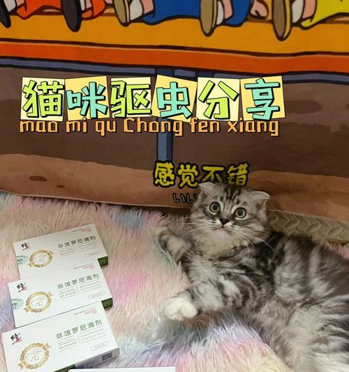 猫咪吃了驱虫药老是叫！你知道为什么吗（揭秘宠物吃药后的反应）