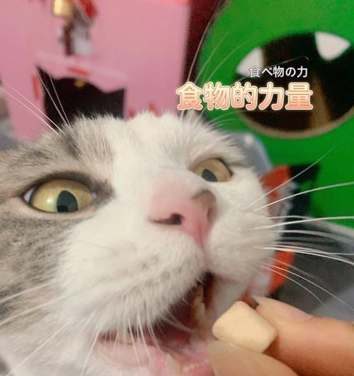 猫咪的健康之道——生肉食谱（为什么猫咪吃生肉有益健康）