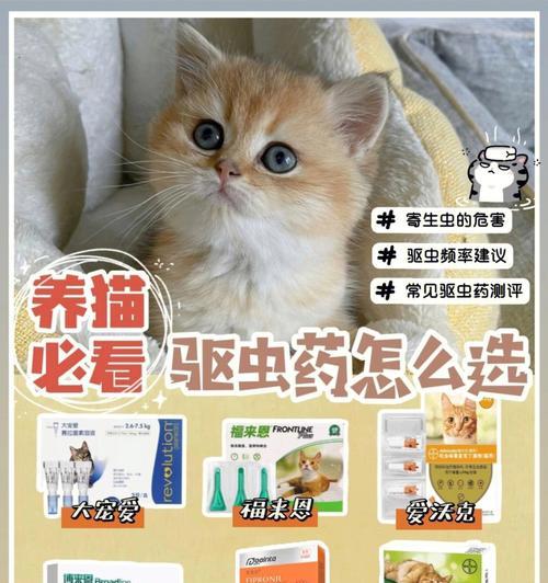 猫咪除虫药应该怎么选（选择适合猫咪的除虫药品）