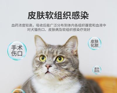 探究猫咪打喷嚏与药物食用的关系（揭秘猫咪打喷嚏常用药物与作用原理）