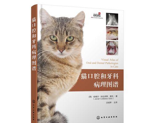 猫咪恶性肿瘤的治疗方法（以宠物为主）