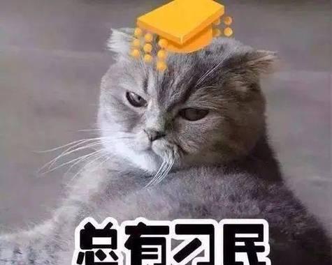 猫咪房产证（宠物房产市场的新变革）