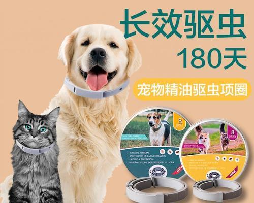 猫咪VS狗狗（探究宠物的视觉能力和适应环境的能力）