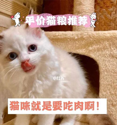 猫咪几个月开始能吃肉？