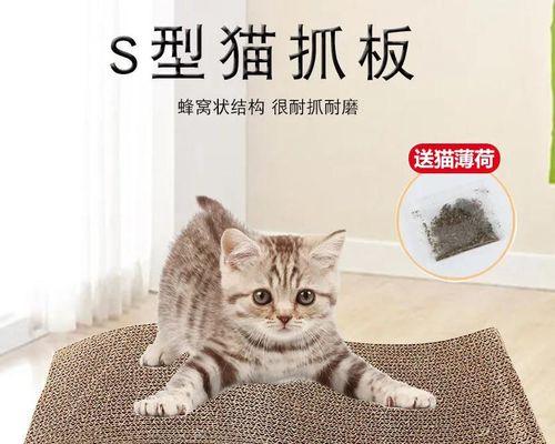 喵星人的“爪”迹（以猫咪见主人就抓猫抓板的故事）