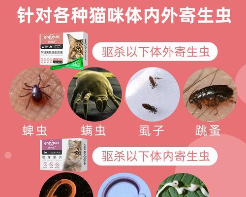 猫咪拉出虫子竟然是严重的问题（想必你不知道这些宠物带来的危害）