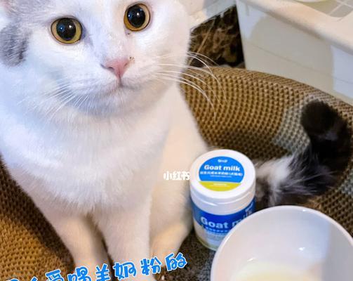 猫咪健康营养表（为你的宠物猫提供全面的营养）