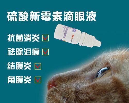 猫咪的眼睛需要额外呵护（毛孩每天都用眼药水）