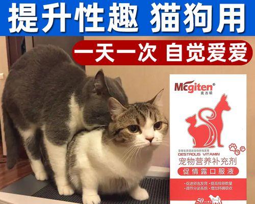 猫咪生育（宠物猫的繁殖）