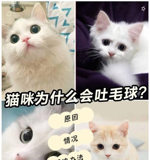 猫咪为什么吐不出来（探究猫咪吐不出来的原因及应对方法）