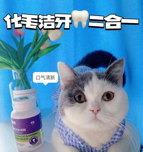 猫咪吐毛球有血丝，我们该如何应对（宠物健康不可忽视）