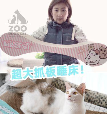 如何防止宠物猫咪毁坏沙发（从习惯养成到环境改造）