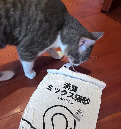 猫咪喜欢玩猫砂怎么办（用正确的方法引导猫咪）