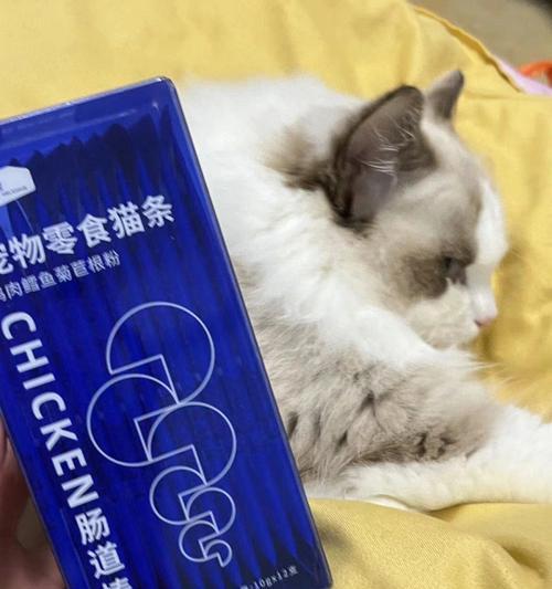 猫咪消化不良的原因和解决方法