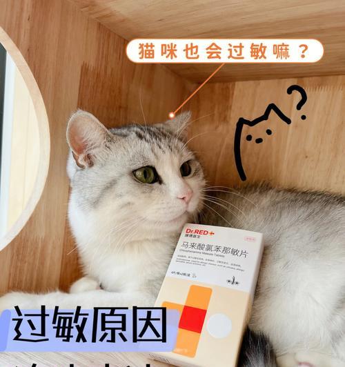 猫咪过敏症状揭秘（了解猫咪过敏会怎么样）