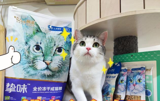 猫咪为何少喜欢吃鱼（以干粮为主的宠物猫的饮食习惯）