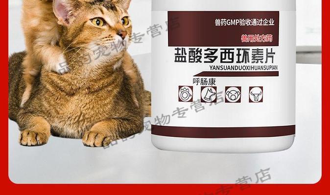 怎样为猫咪喉咙咳嗽选择最好的药品（宠物药品）