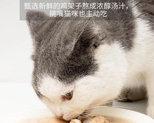 宠物猫咪饮食计划（了解猫咪肉食需求）