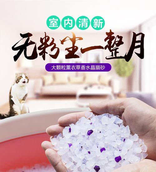 水晶猫砂的安全性探究（宠物主人必读的水晶猫砂知识）