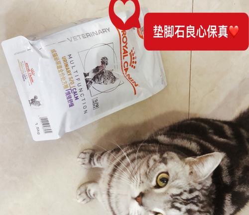 猫吃了处方粮拉稀，怎么办（探究猫吃处方粮引发腹泻的原因及解决方案）