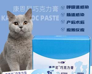 预防猫咪感冒，药物是关键（宠物主人必看！15个实用小贴士教你如何让猫咪远离感冒）