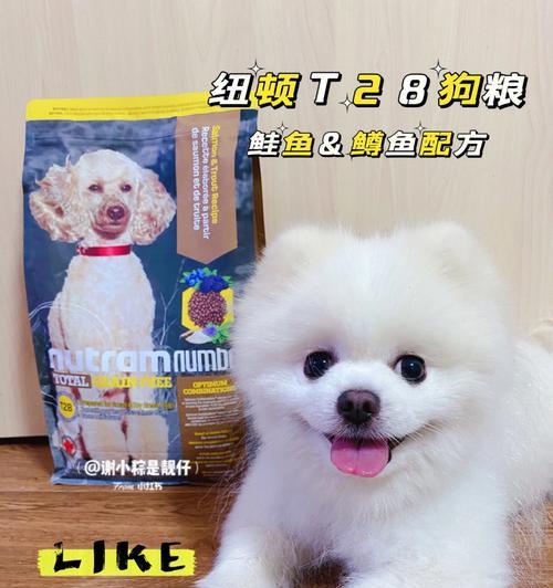 打造健康博美幼犬，从狗粮选择开始（以宠物为主）