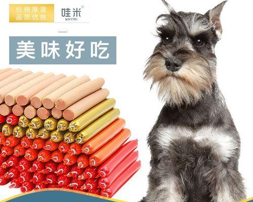 如何应对博美幼犬一天拉好多次的问题（宠物肠胃健康保护的关键）