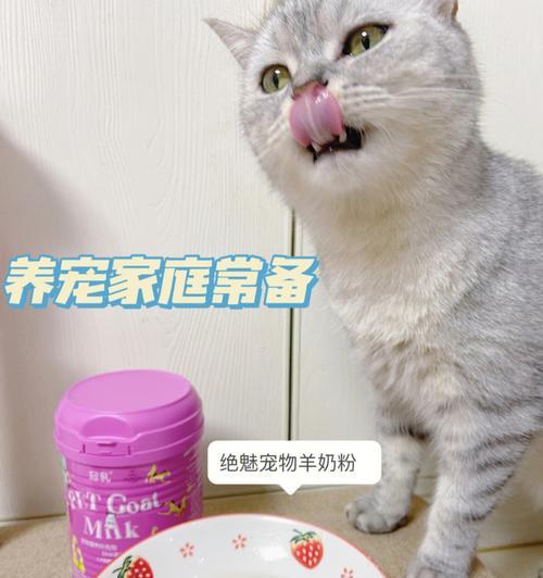 哺乳期母猫拉肚子应对方法（宠物健康保护）