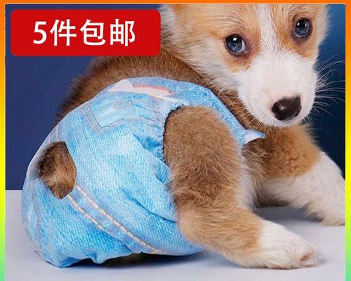 如何防止产后母狗压小狗（保护幼犬健康的必要措施）