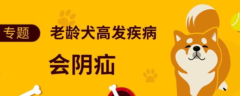 狗狗疝气引起的屁股肿大，如何预防和治疗（了解狗狗疝气的症状与治疗方法）