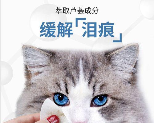 猫咪生产用管的必要性（宠物安全与健康的保障）