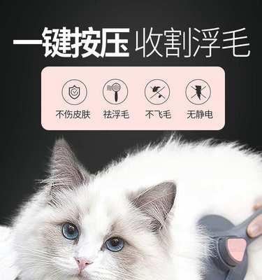 养猫必读（宠物猫咪生产的常见问题及解决方法）