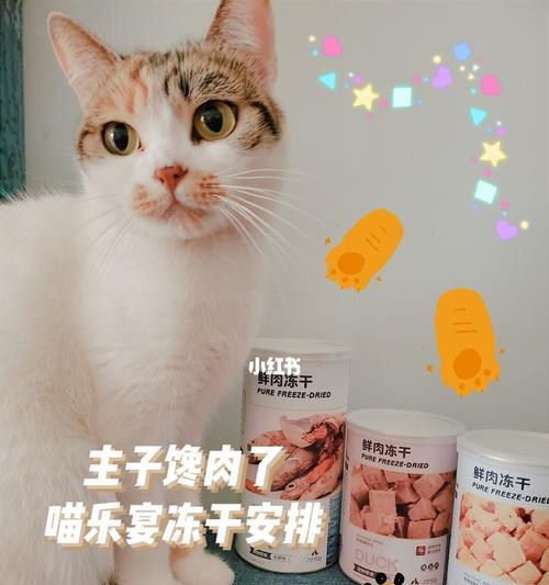 猫咪为什么食欲太好（探究宠物猫咪饮食习惯）