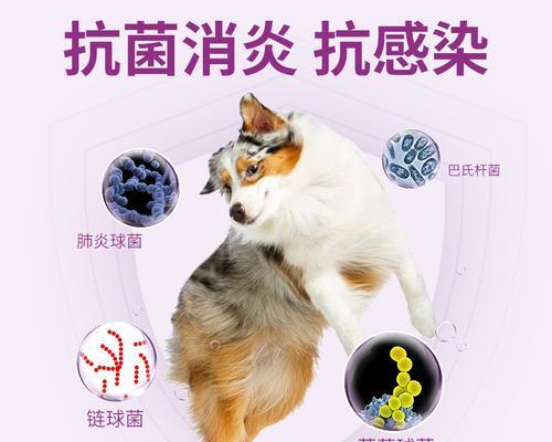 猫咪受伤消炎药，你了解多少（从宠物角度看）