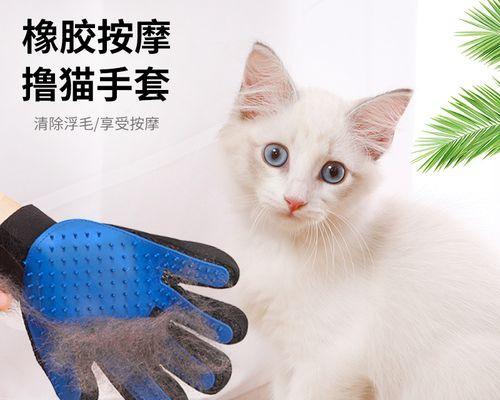 如何清洗猫咪梳子（一步步教你如何简单有效地清洗猫咪梳子）