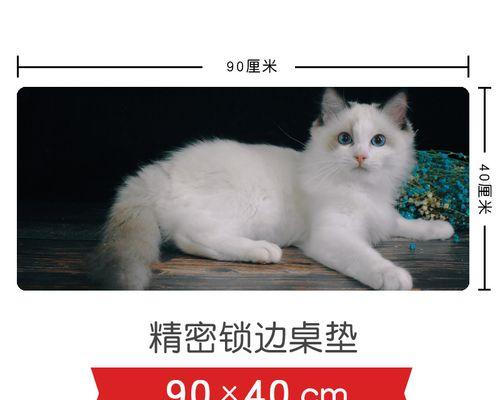 猫咪鼠标按键失效（解决宠物误触导致的按键故障）